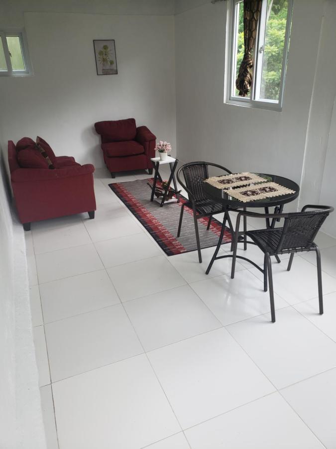Zaboca Apartment Roseau Buitenkant foto