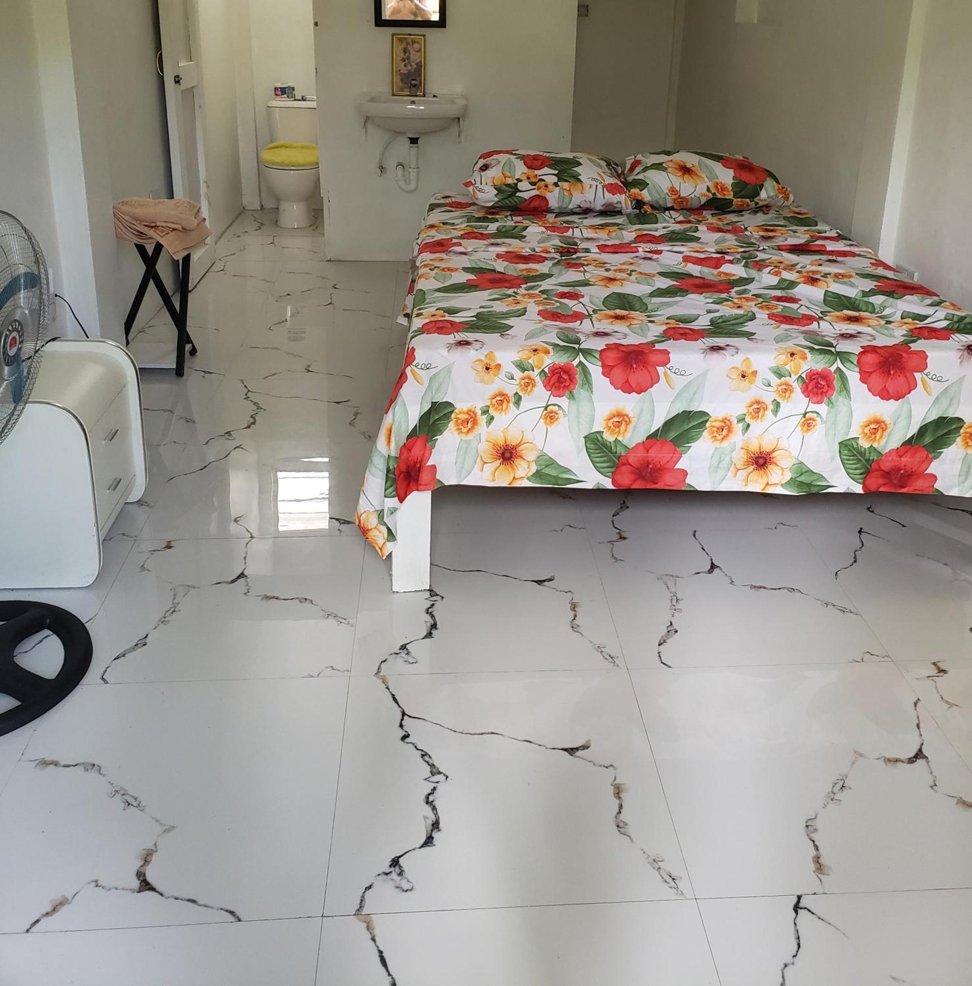 Zaboca Apartment Roseau Kamer foto